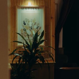 david-dintsh-PY9nspkdUE0-unsplash