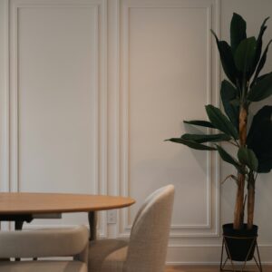 franco-debartolo-pjQAGRNehew-unsplash