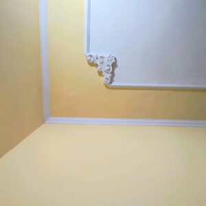 mayank-thakur-dhR_ThX7iDY-unsplash