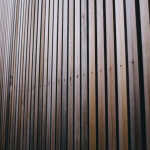 pexels-adrien-olichon-1257089-14975208