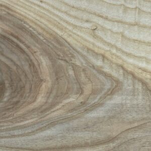 ted-balmer-rq__zHQtSv0-unsplash